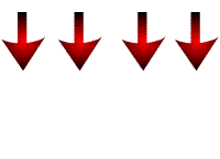 umi green coffee panah order